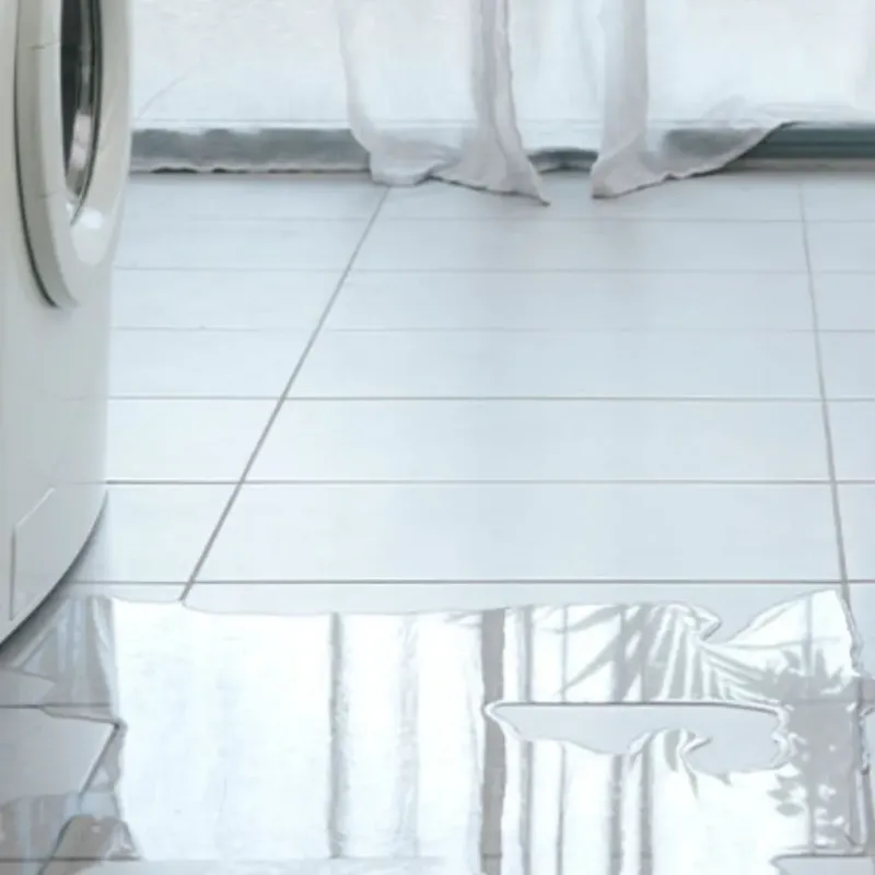 Appliance Leak Cleanup in Arvada, CO